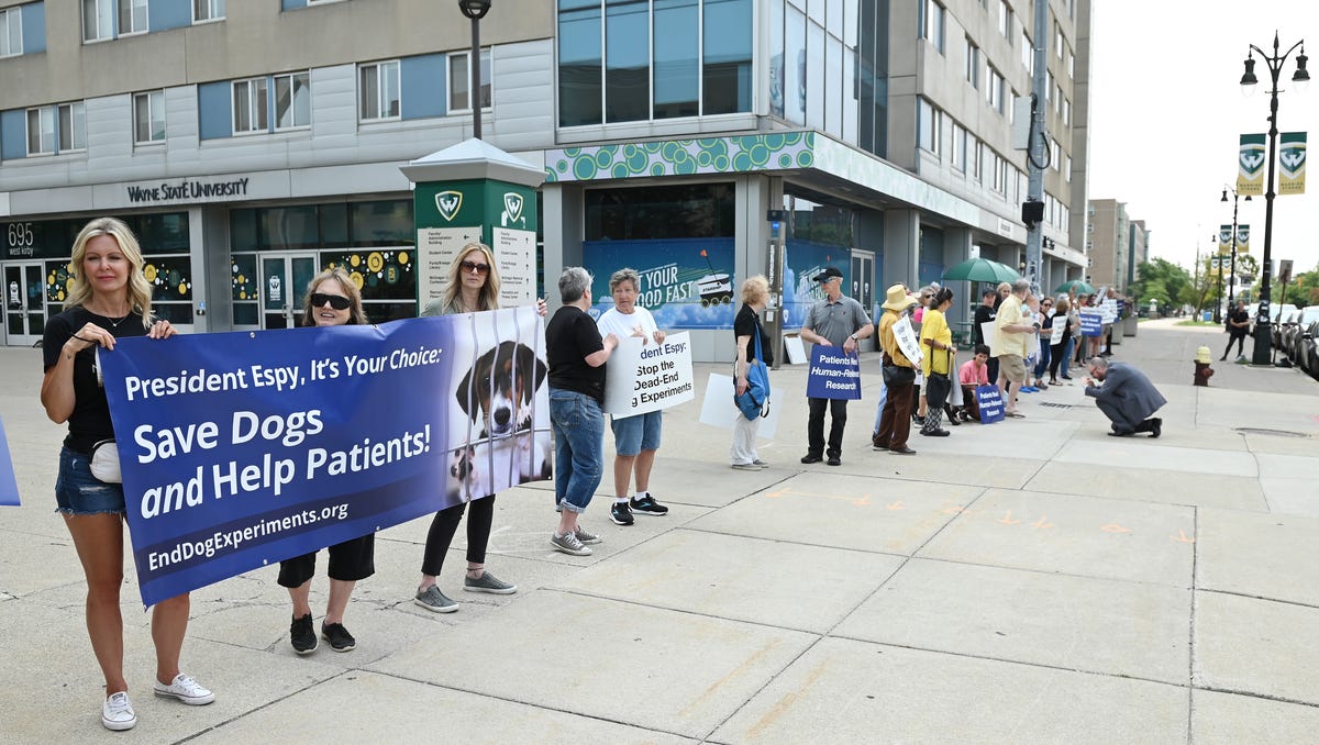 Activist group calls on new WSU president to end use of dogs in medical research Activist group calls on new WSU president to end use of dogs in medical research