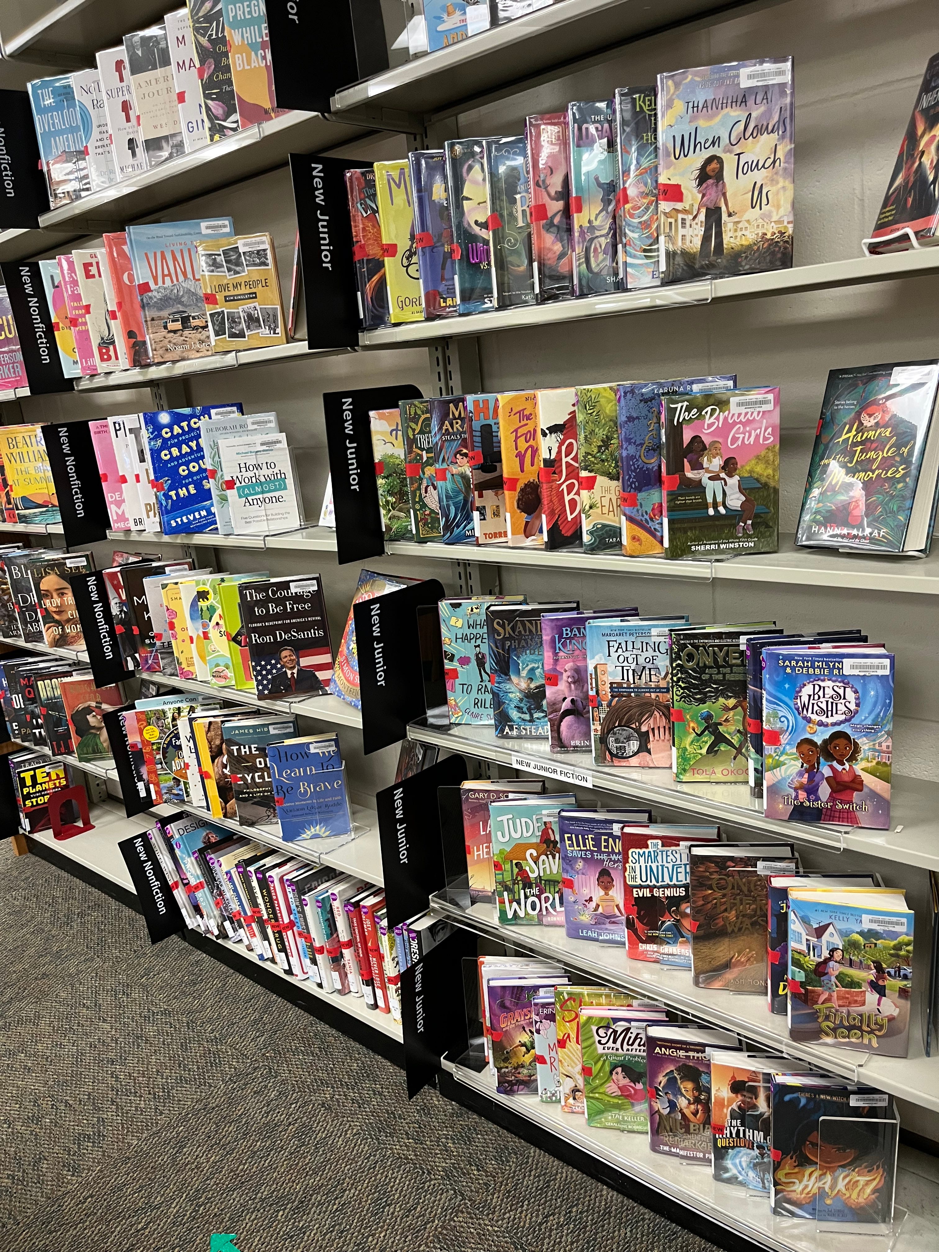 Culture wars creeping into public libraries in Ron DeSantis’ Florida