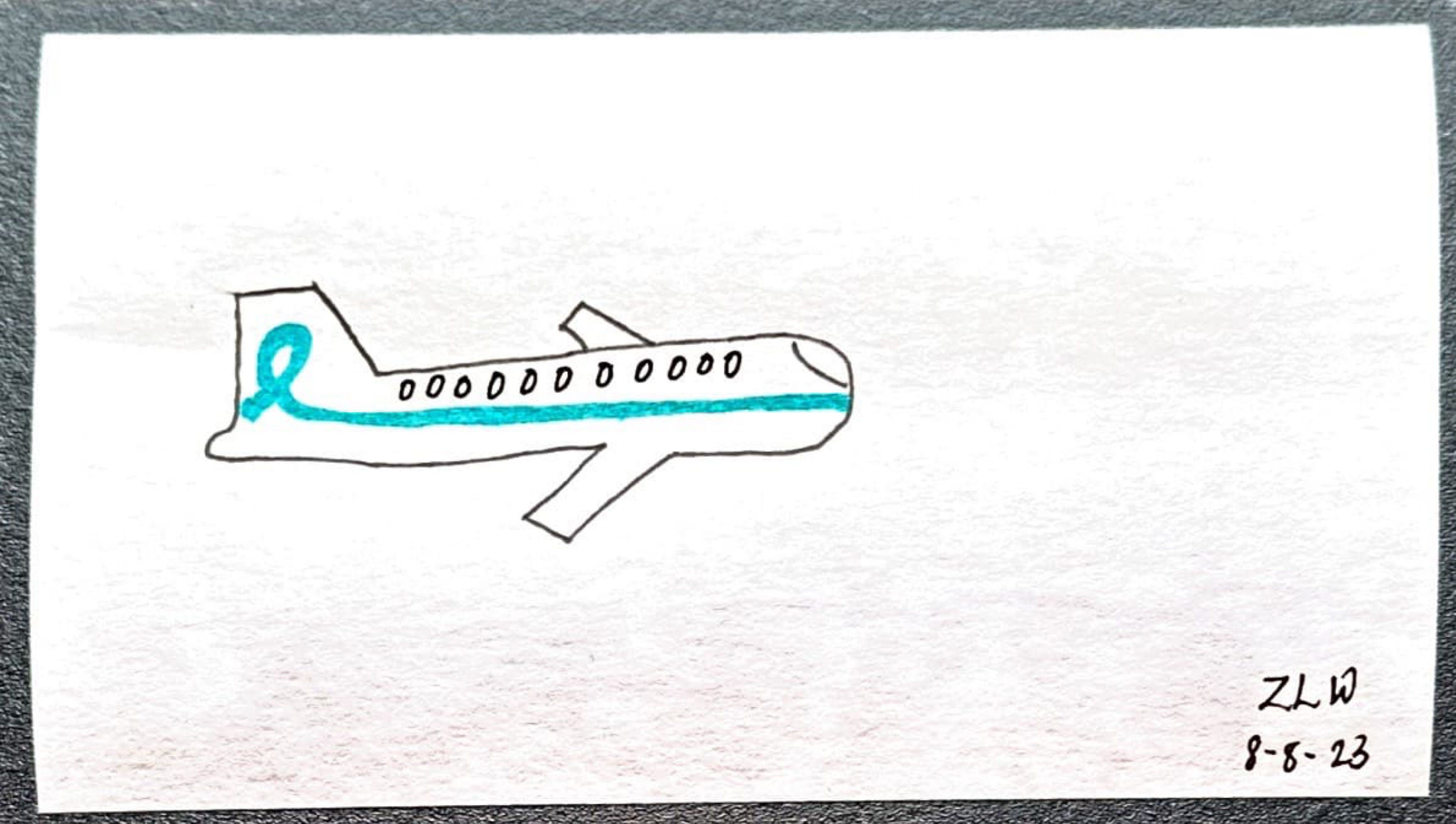 Breaking News A airplane with a teal ribbon tail, representing sexual assault survivors.
