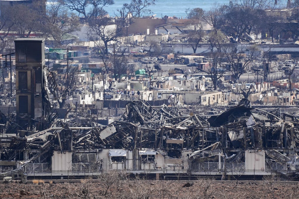 Maui fires death toll climbs amid search for bodies: Live updates