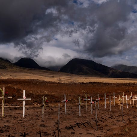 Crosses honoring victims killed in a recent wildfire are posted along the Lahaina Bypass in Lahaina, Hawaii, Aug. 21, 2023. (AP Photo/Jae C. Hong) ORG XMIT: POW319