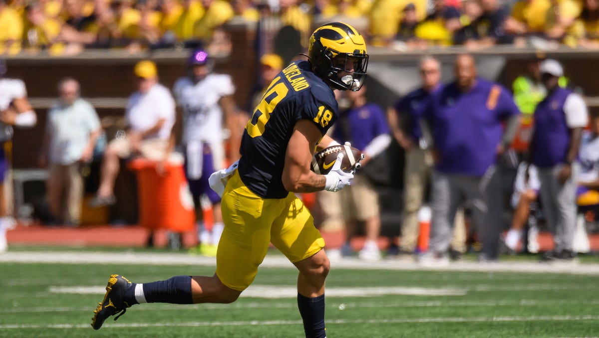 Michigans tight ends bring different skills to the position Michigans tight ends bring different skills to the position