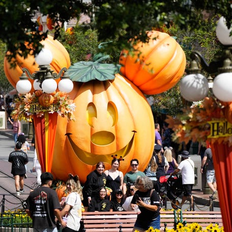 A giant Mickey Mouse Pumpkin is featured on Main Street, USA., at Disneyland Park. Disneyland Resort is decorated for Halloween Time which runs from Sept. 1 - Oct. 31, 2023.