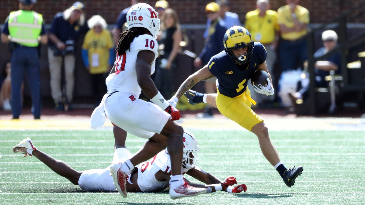 Michigan football’s Roman Wilson makes epic TD catch using Nebraska player’s helmet