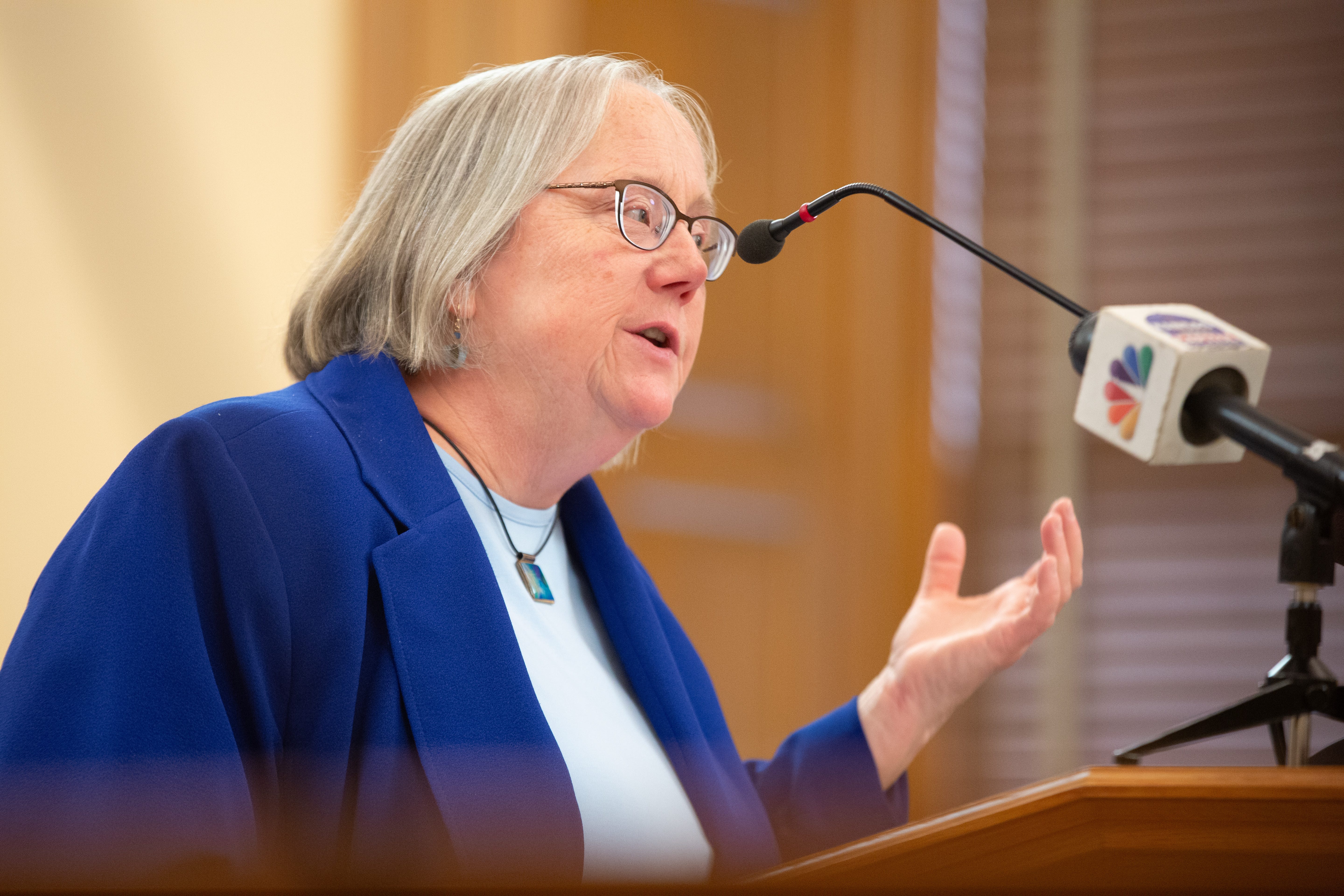 Department of Children and Families secretary Laura Howard presents during Wednesday's Welfare Committee at the Statehouse.