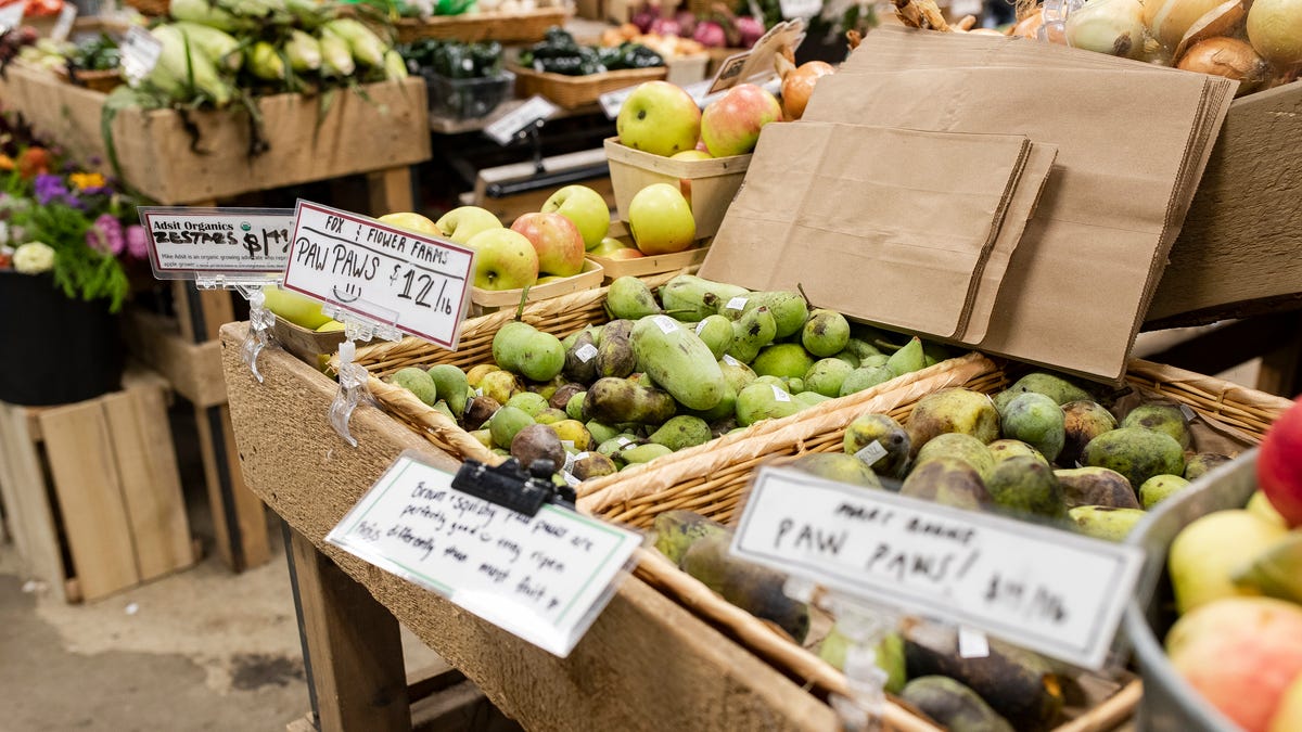 From hop to cranberries to mint: 10 surprising things that grow in Michigan From hop to cranberries to mint: 10 surprising things that grow in Michigan