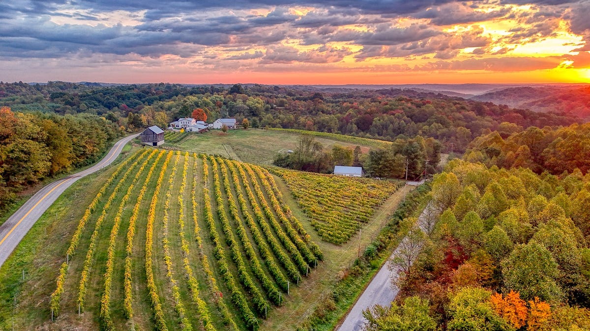 Make time for wine! June is Ohio Wine Month. Here’s what you need to know to celebrate
