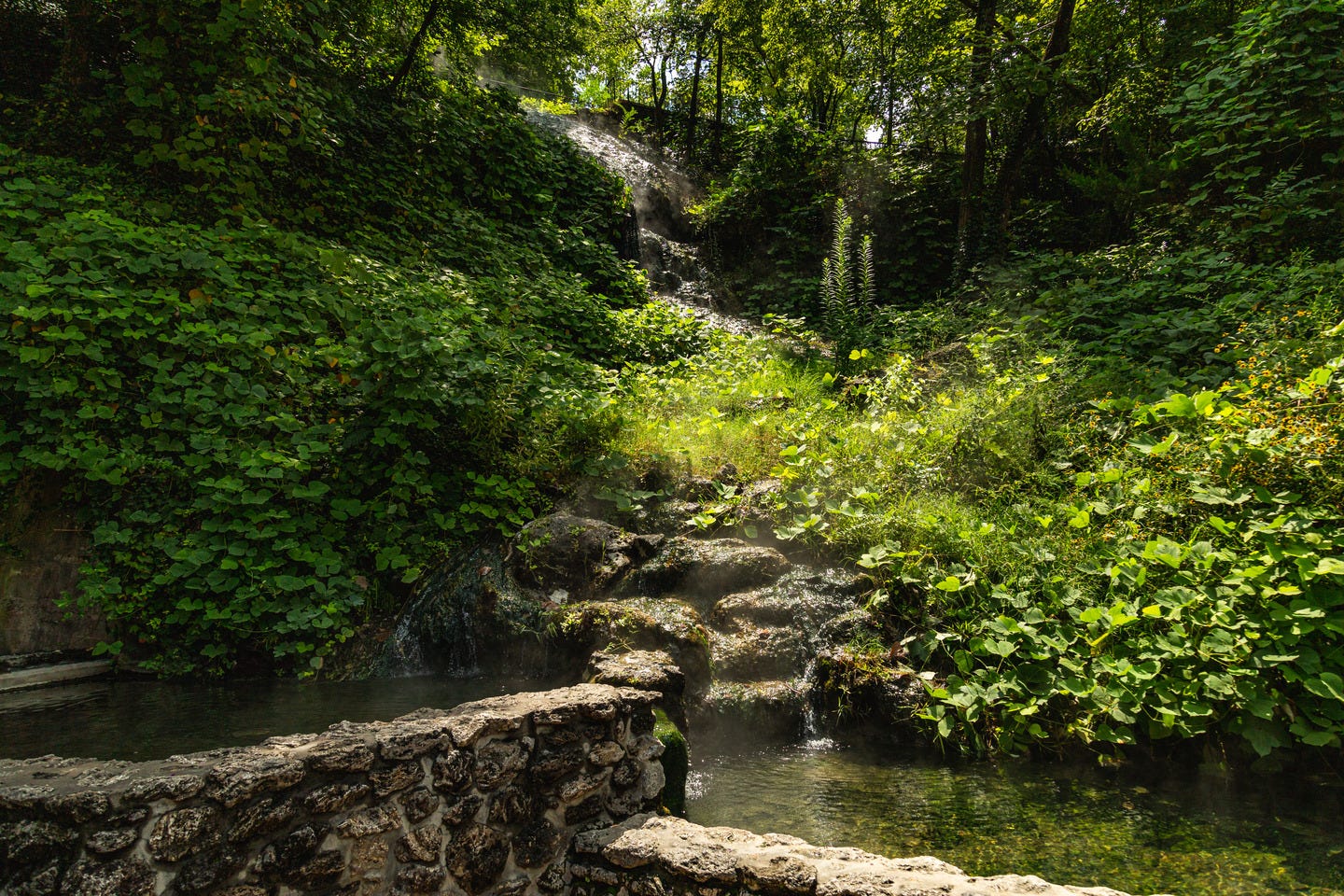 Thermal spring water comes out of the ground at 143 degrees, but cools slightly before reaching these touch pools at Hot Springs National Park.
