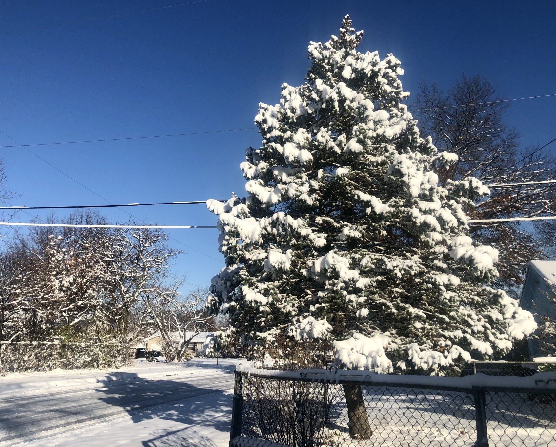 Snow covered a tree Sunday morning in the 3100 block of S.W. Lincoln in Topeka, which the previous day had seen its second-snowiest November day on record.