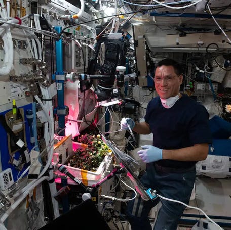 Astronaut Frank Rubio works with tomato plants growing on the International Space Station as part of a botany study.