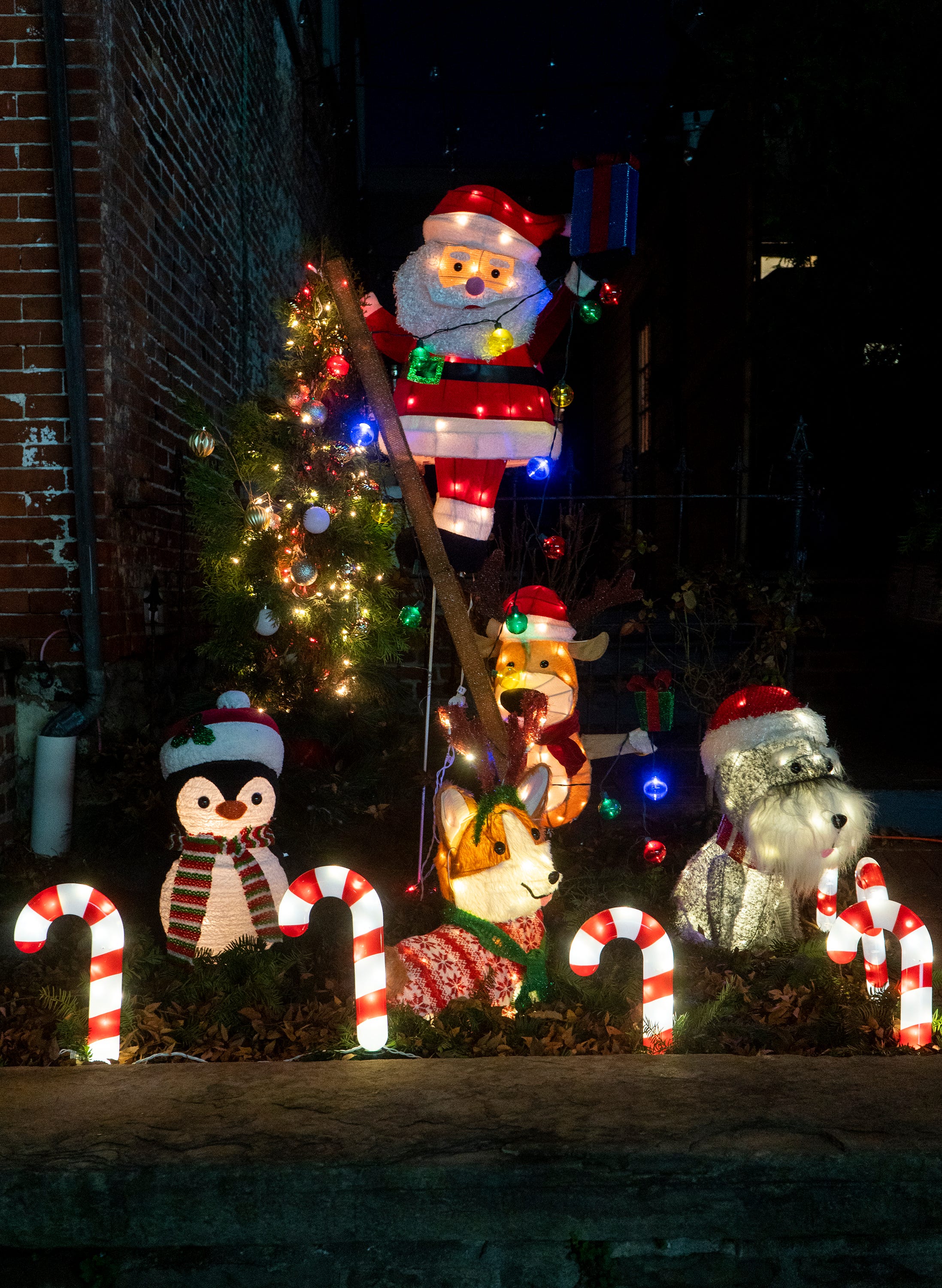 دکوراسیونهای کریسمس که شهر و کسبوکارهای اطراف در دویلستاون در جمعه ۸ دسامبر ۲۰۲۳ نصب کردند.