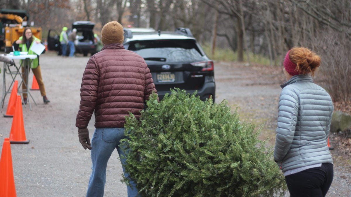 Free Christmas tree recycling event Jan. 6 will help the Delaware Center for Horticulture