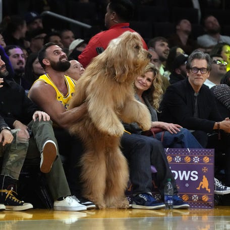 Brodie The Goldendoodle dog was a crowd favorite at the Lakers-Knicks game Crypto.com Arena.