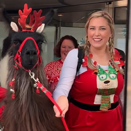 Three times this month, Portland International Airport deployed therapy llamas to help ease travelers stress.