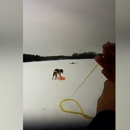 Ruby the dog assisted the police to rescue her owner from a frozen lake in East Bay Township, Michigan.