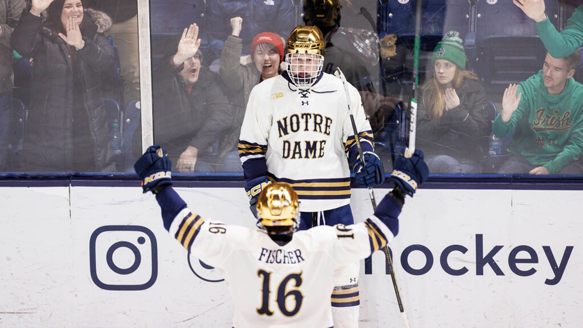 Michigan sweeps Notre Dame hockey; road playoff series next for Irish