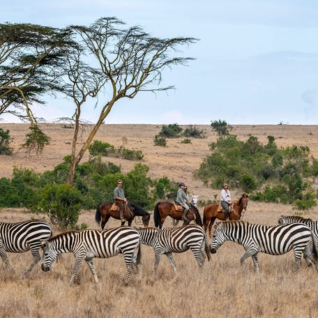 Guide Hamprey Mweterwa (center on white horse) leads a group on a safari in Kenya's Borana Conservancy. Visitors to Borana might encounter zebras, leopards, impalas, elephants, and the area's population of 200 rhinos — a relative of the horse.