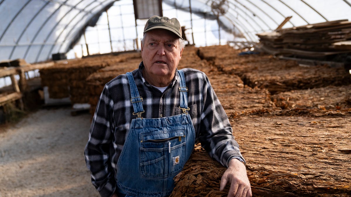 Tobacco farming, once integral to Southern and Tennessee culture, has virtually vanished