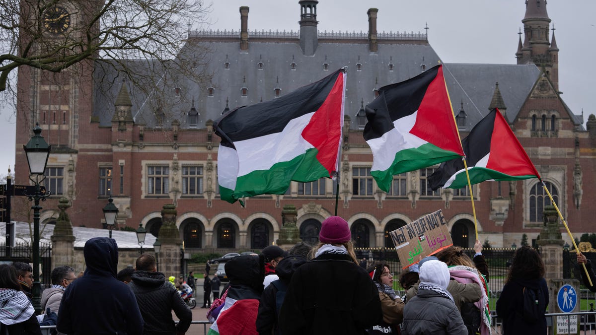Pro-Palestinians demonstrators wave flags as they protest outside the United Nations' highest court during historic hearings, in The Hague, Netherlands, Monday, Feb. 19, 2024.