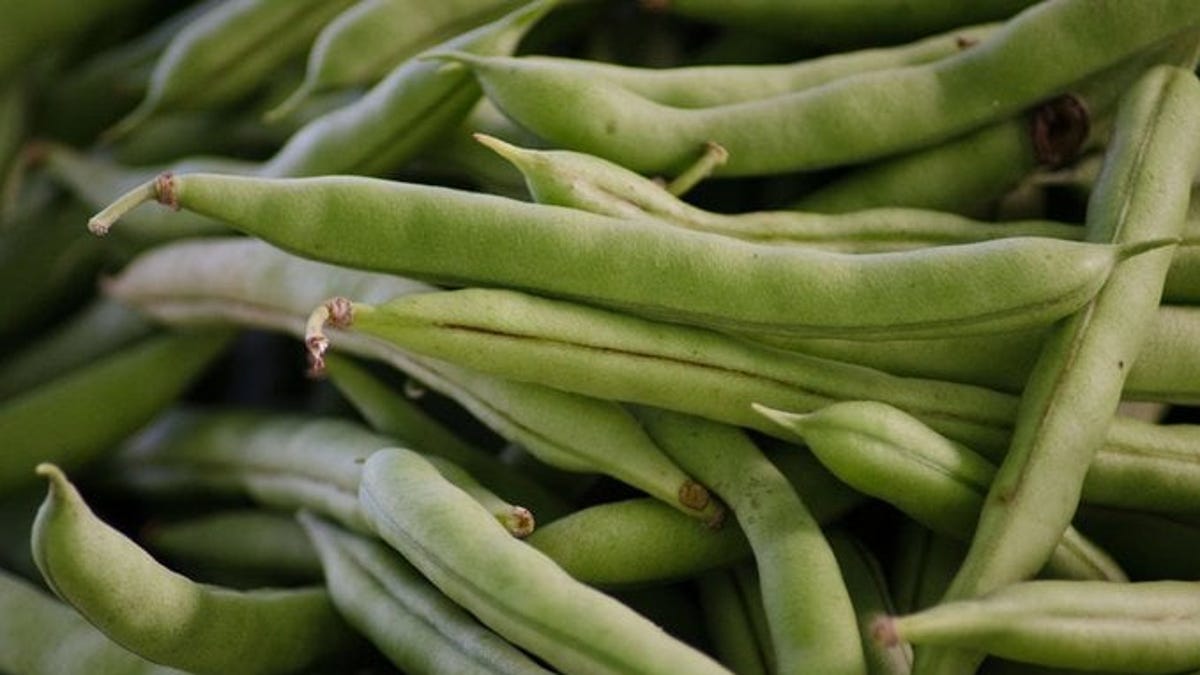 Wisconsin holds on to title as nation’s top producer of green beans