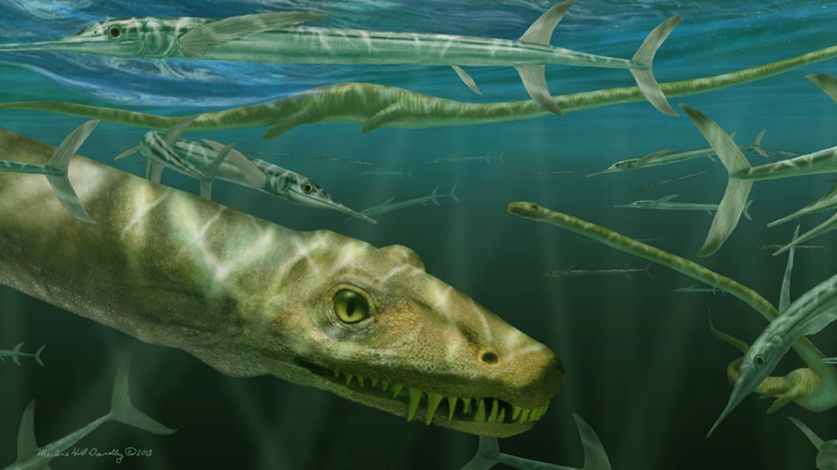 Wissenschaftler haben 240 Millionen Jahre altes Fossil eines „chinesischen Drachen“ enthüllt