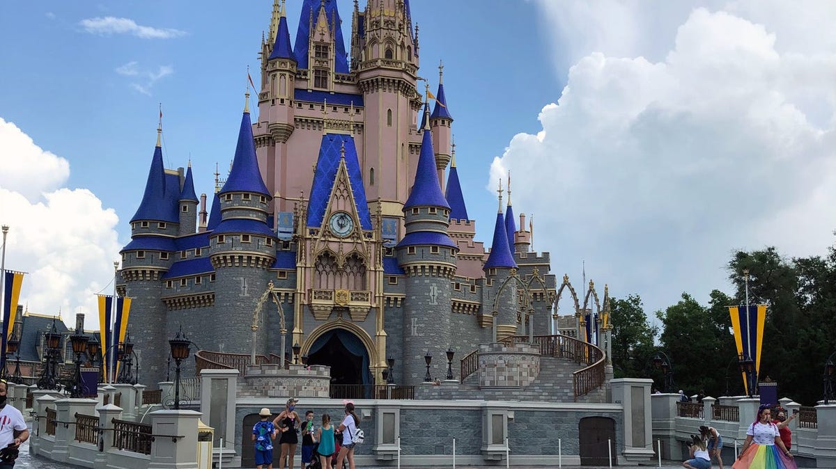 AI photo of Cinderella Castle on fire tricked readers. What to know.