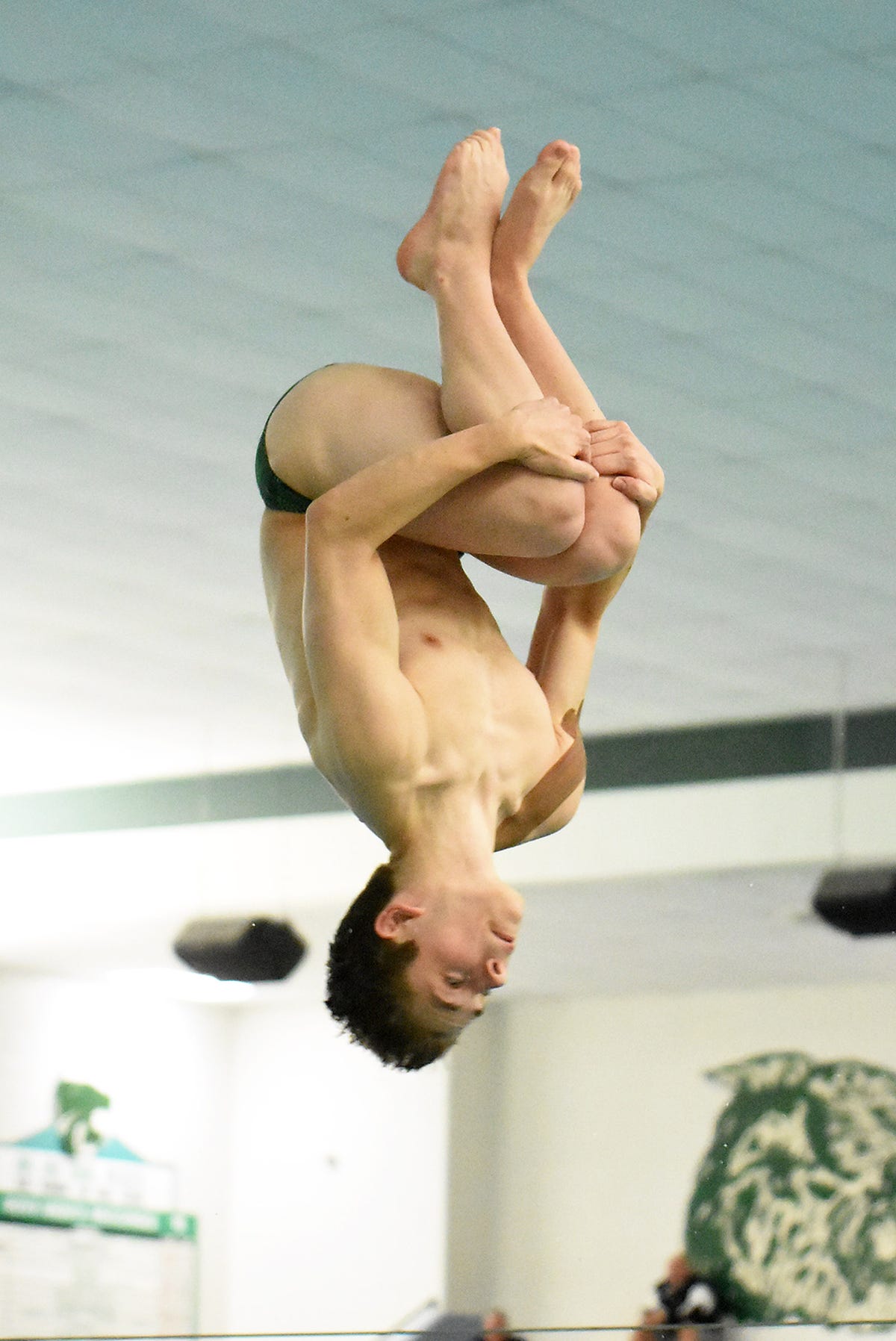 Impressive Livingston County Swimmers and Divers Gear Up for State Championship