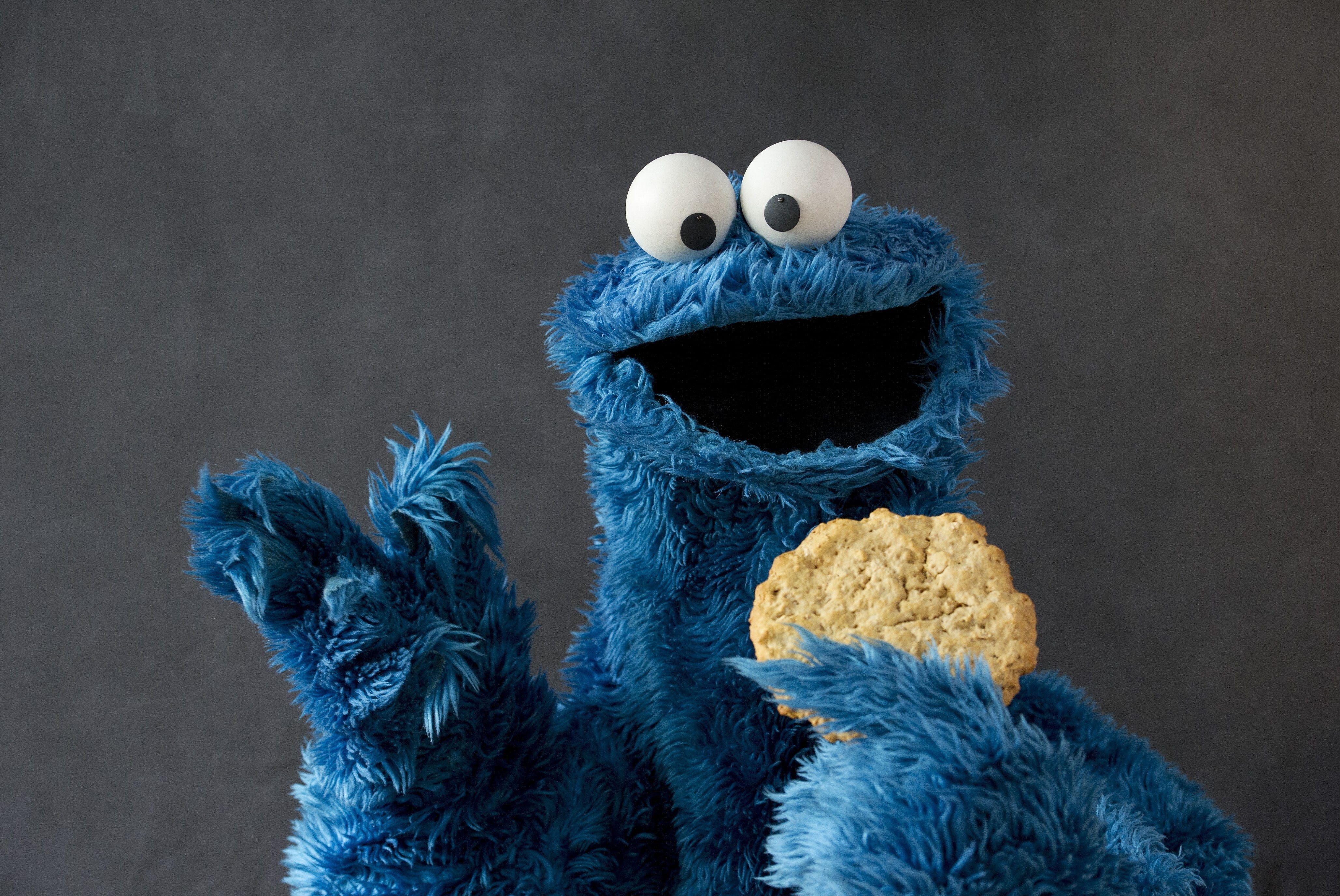 Sesame Street's Cookie Monster