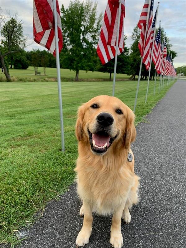 A new service dog arrives in Delaware. Do you know its name? Test your news knowledge