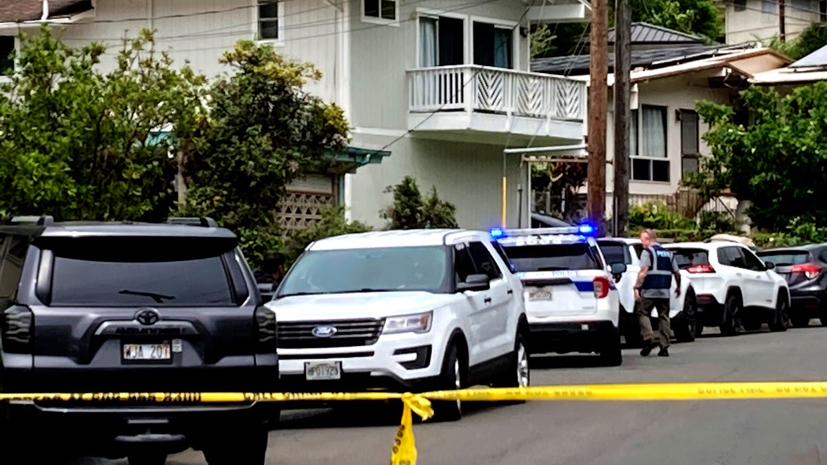 Mother and 3 children fatally stabbed, father dead in apparent murder-suicide at Hawaii home