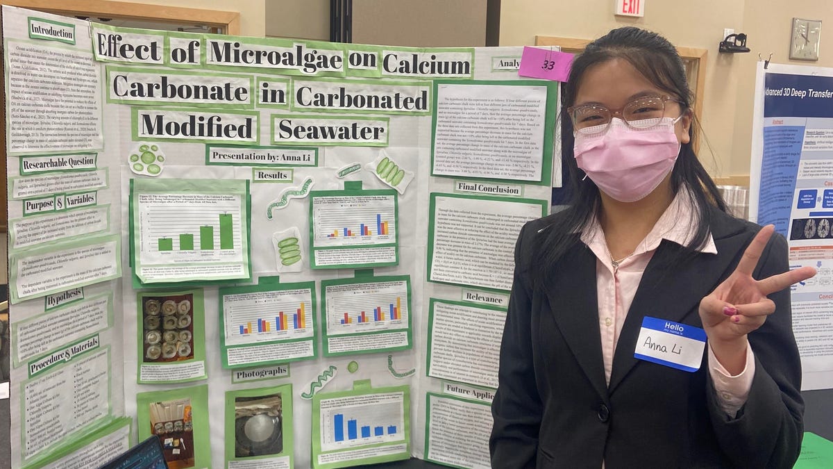 A North Quincy High School student wins the grand prize at the regional science fair