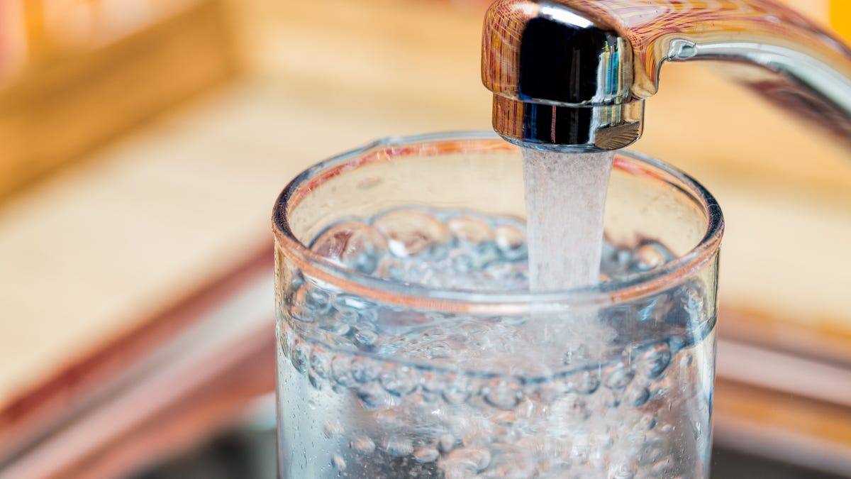 Newton hunts for lead pipes in town water system. What homeowners need to know Newton hunts for lead pipes in town water system. What homeowners need to know