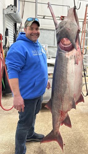 Lake of the Ozarks yields record-breaking paddlefish catch