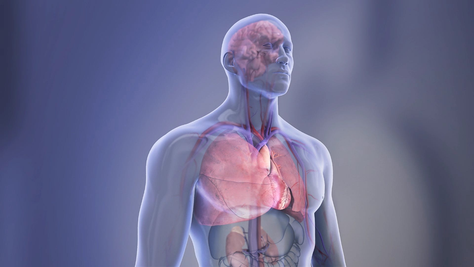 Heart disease is the number 1 killer in the United States in 2024. The American Heart Association finds that intermittent fasting increases chances of death from cardiovascular disease.