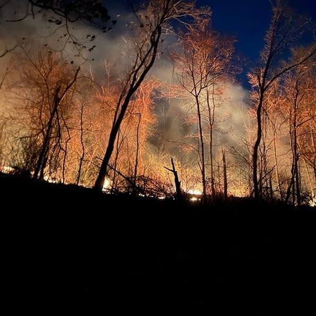 The Shenandoah National Park closed Skyline Drive from Thornton Gap to Mathews Arm trails because of the Rocky Branch wildfire. The fire started Wednesday, March 20. The cause of the fire is unknown.