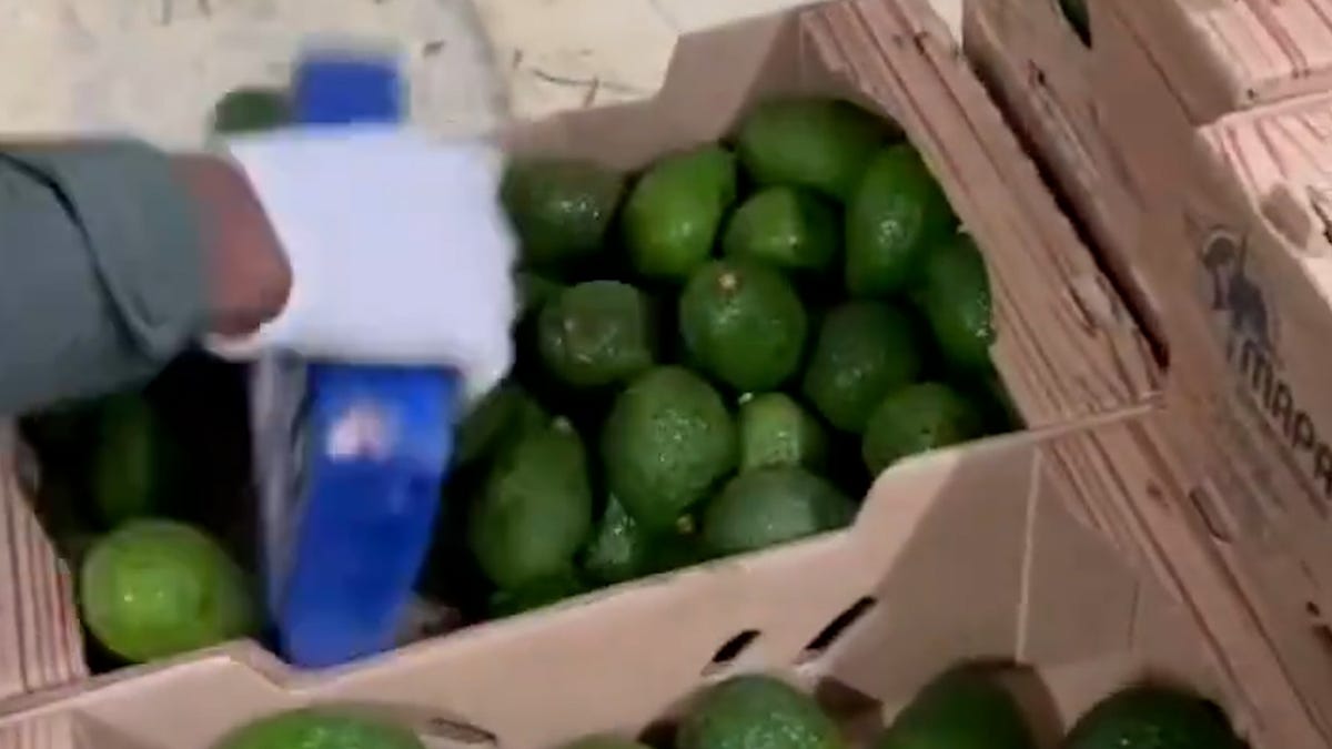 Cocaine in avocado? Colombia police seize 1.7 tons of cocaine hidden in avocado shipment