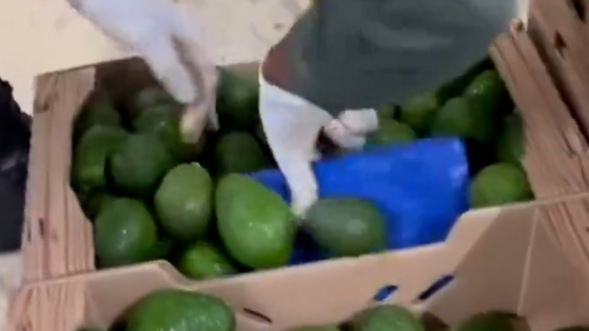 Colombian authorities make cocaine bust in avocado shipment