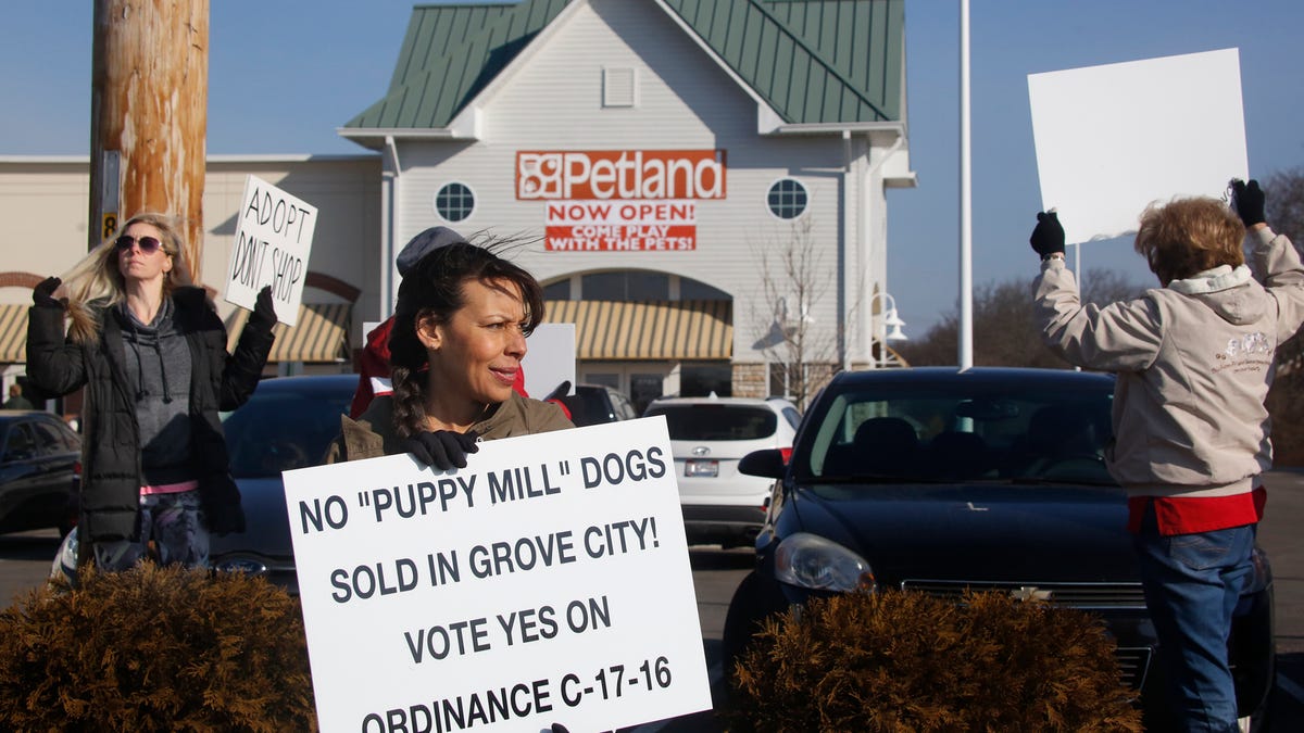 Ohioans say Petland sold them sick puppies. Lawmakers are trying to do something about it