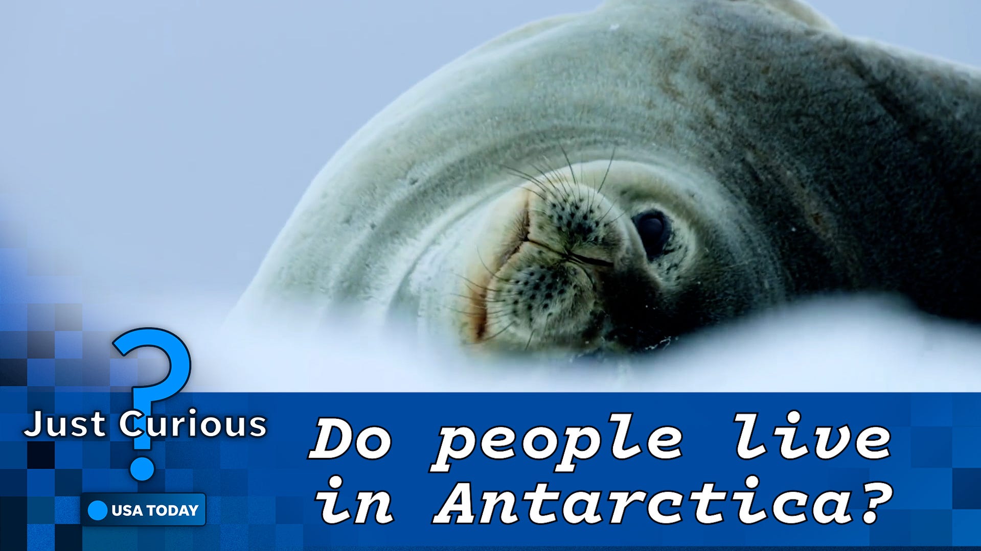 Do people live in Antarctica? What to know about the continent's population.