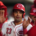 What's the bug waylaying all those guys in Cincinnati Reds clubhouse? Who wants to know?
