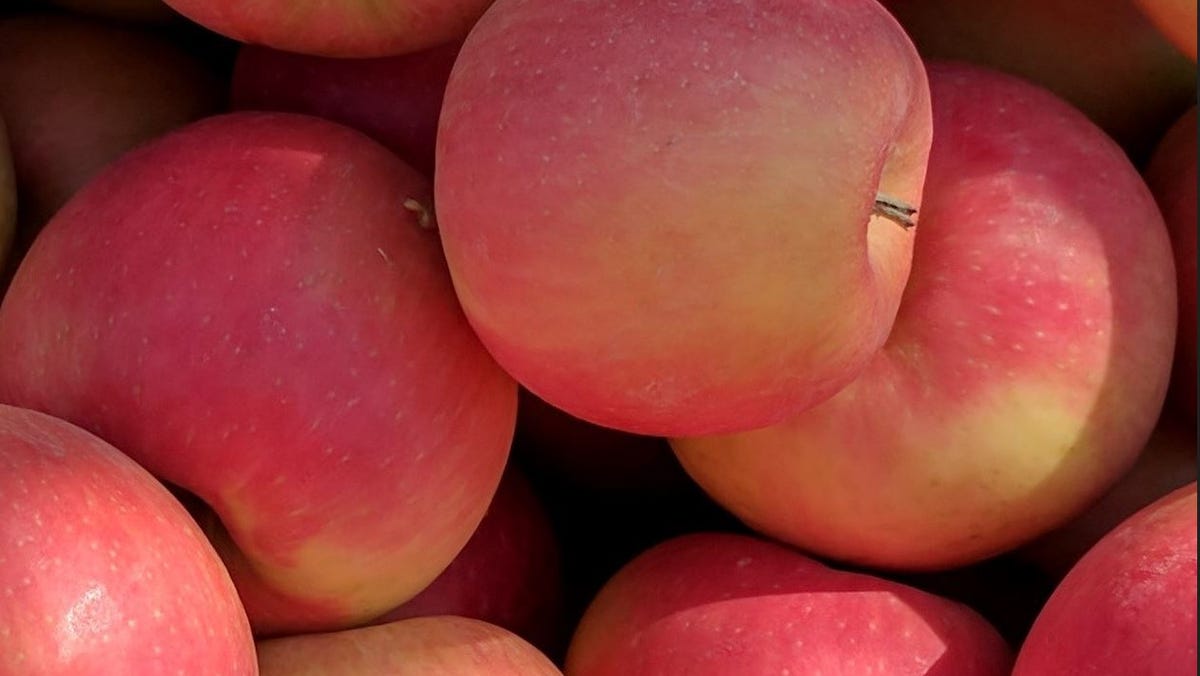 Чи здорові яблука?  Крім того, ось найсолодші яблука, які ви можете купити.