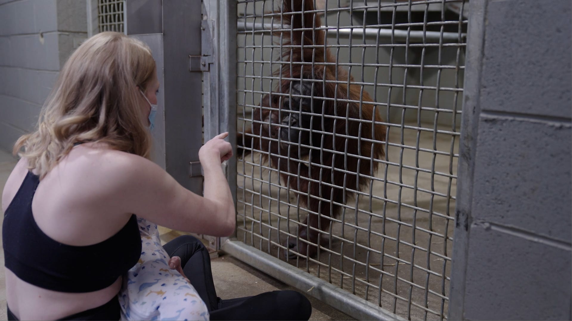 It takes a village: Orangutan mom learns how to nurse baby from breastfeeding zookeeper