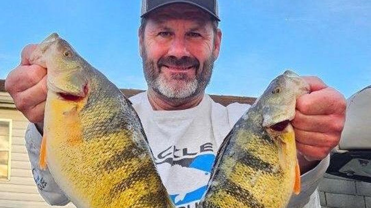 Pennsylvania fisherman catches yellow perch that’s comparable to the state record