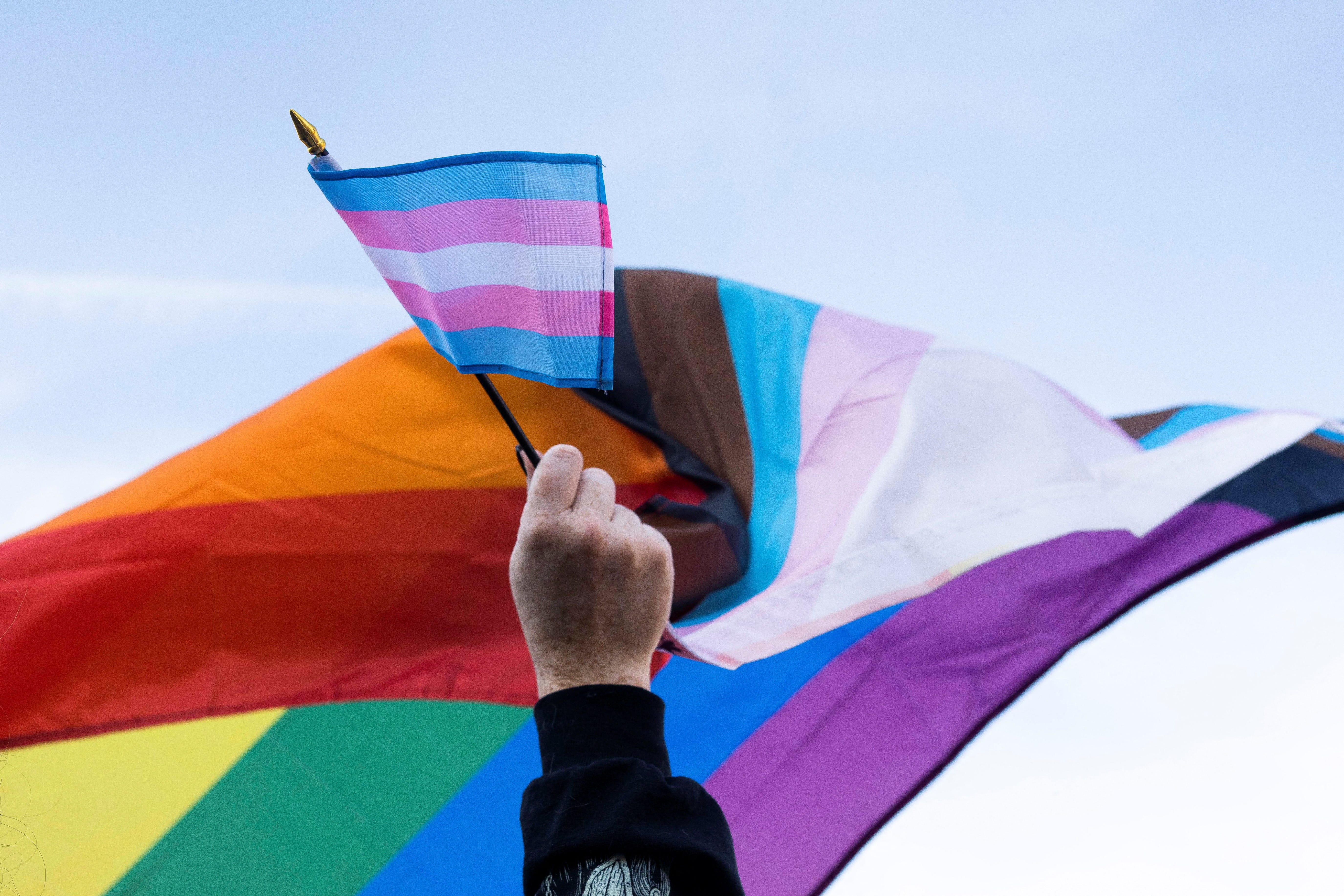 Flags representing LGBTQ+ and transgender communities