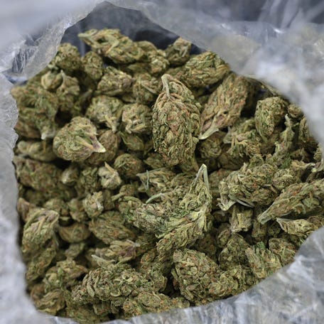 Pictured is dried cannabis collected by the San Bernardino County Sheriff's Department during a raid on an illegal cannabis farm in Newberry Springs, in the western Mojave Desert of Southern California on March 29, 2024.