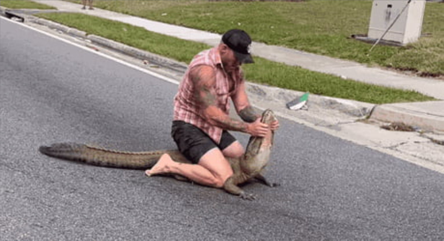A Florida man took on a large alligator that was seen strolling in a downtown Jacksonville neighborhood.