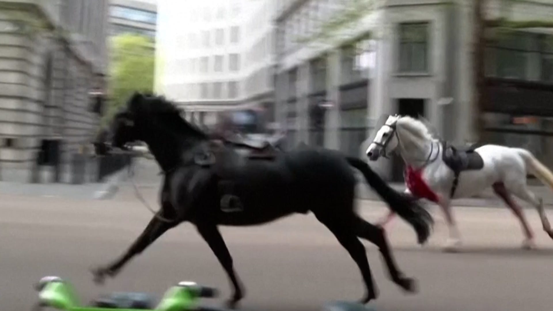 Two British military horses, one of which appears to be covered in blood, can be seen galloping Wednesday morning through central London after they are three others became spooked and bolted during training exercises. All the horses were captured, while three soldiers were treated for injuries.
