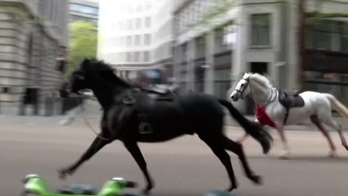 REUTERS HORSES LONDON THUMB 3.jpg