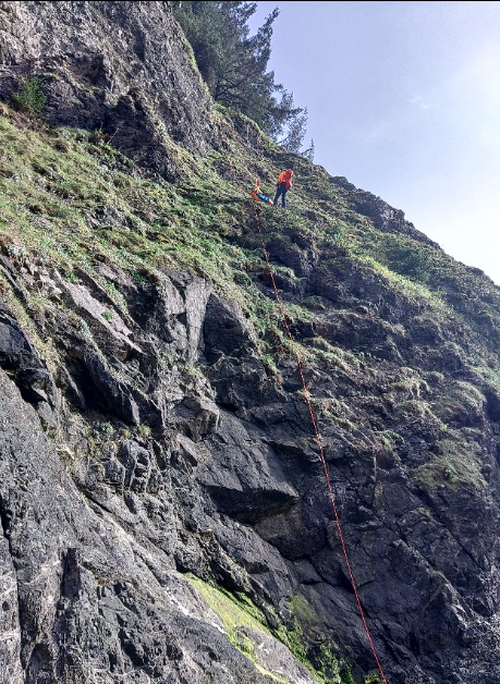 A California Bay Area man is dead after falling more than 300 feet off a cliff this week while hiking with his wife in Curry County, Oregon.