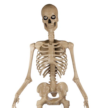 Skelly, the 12-foot giant-sized skeleton sold at Home Depot.